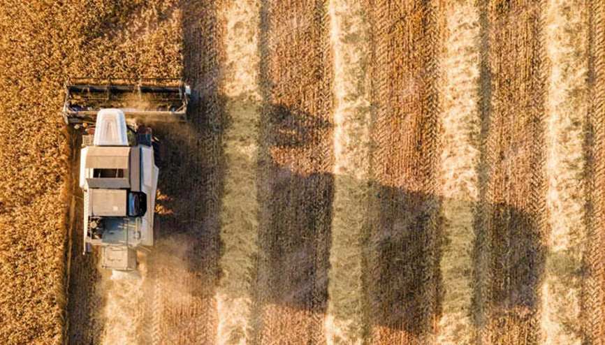 Son dakika: Tahıl ihracatı için İstanbulda kritik zirve