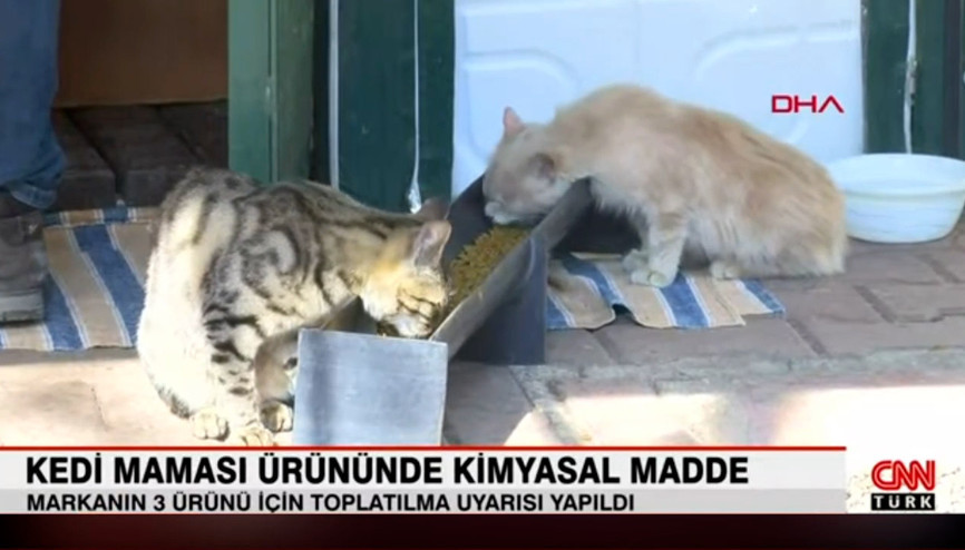 Kedi maması ürününde kimyasal madde