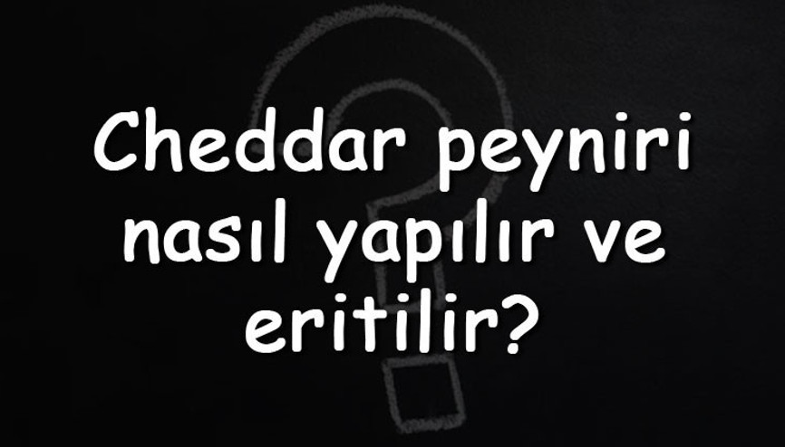 Cheddar peyniri nasıl yapılır ve eritilir Cheddar peyniri nerenin ürünü