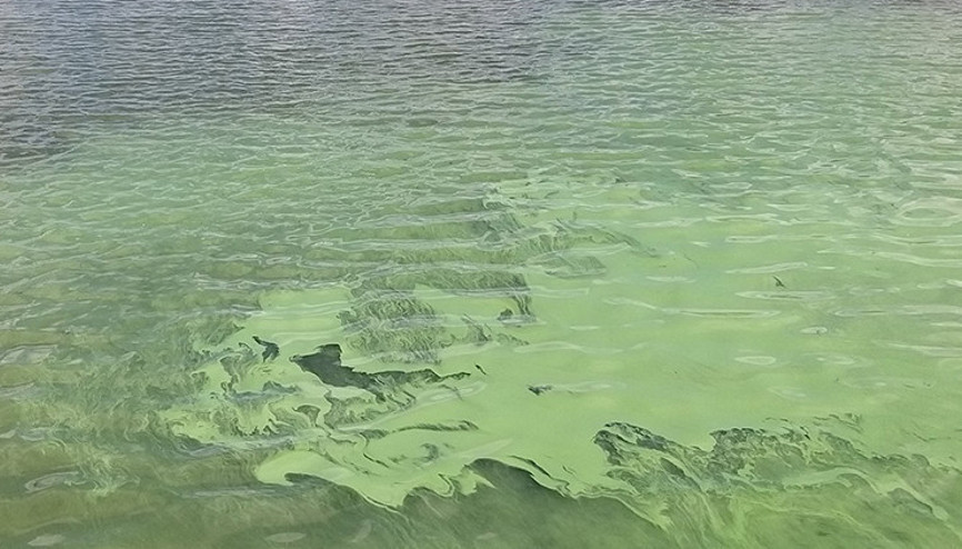 Sazlıdere Barajındaki endişelendiren görüntüye açıklama Sazlıdere Barajındaki endişelendiren görüntüye açıklama