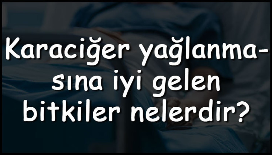 Karaciğer yağlanmasına iyi gelen bitkiler nelerdir Karaciğer yağlanmasını engelleyen bitki çayları ve tarifleri
