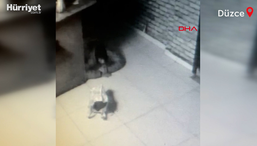Kasalardan para çaldı, kameralara yakalanmamak için yerde süründü