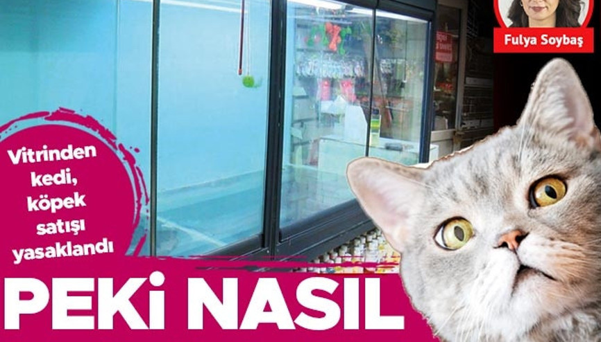 Vitrinden kedi-köpek satışı yasaklandı, peki nasıl denetlenecek