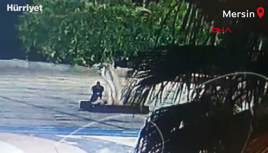 Özgecan Aslan Barış Meydanında ağacın kurutulmasıyla ilgili daire başkanı ile 2 kişiye gözaltı