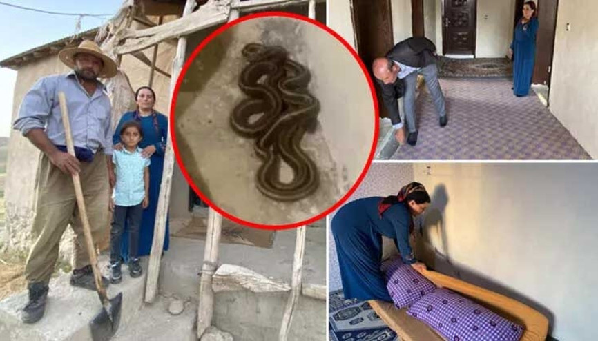 Toprak evde yılan kabusu Çocuklarımın psikoloji bozuldu
