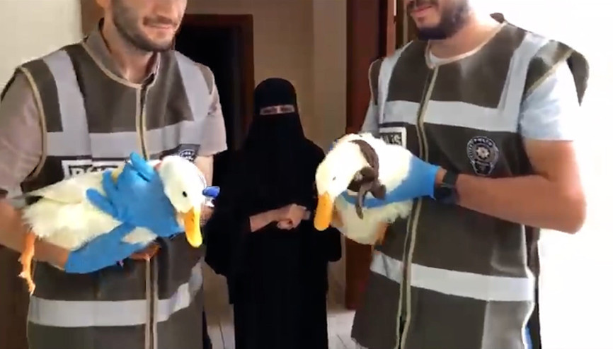 Sosyal medyada gündem olan ördekler, İçişleri Bakanlığının koruması altında