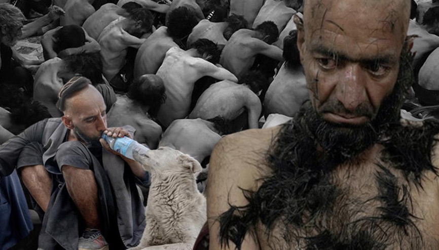 Afganistandan rahatsız edici kareler... Sokak köpeklerine bile uyuşturucu veriliyor