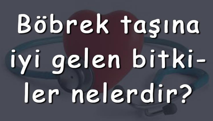 Böbrek taşına iyi gelen bitkiler nelerdir Böbrek taşına iyi gelen bitki çayları ve tarifleri