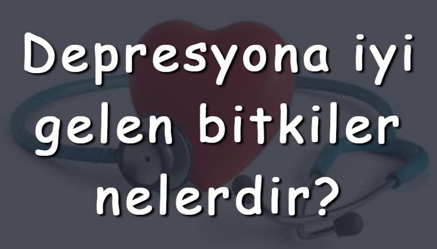 Depresyona iyi gelen bitkiler nelerdir Depresyona iyi gelen bitki çayları ve tarifleri