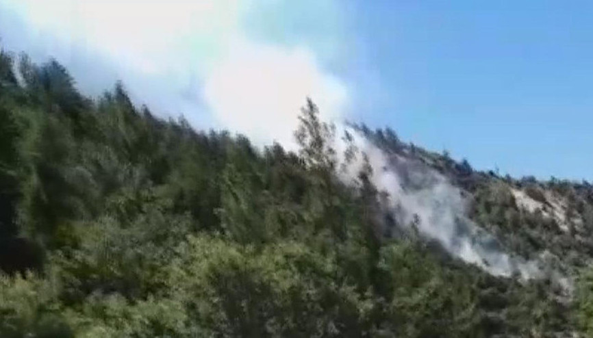 Karamanın Ermenek ilçesinde orman yangını