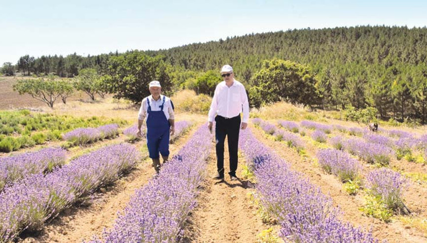 Karacabey’den ‘aromatik’ atak Karacabey’den ‘aromatik’ atak