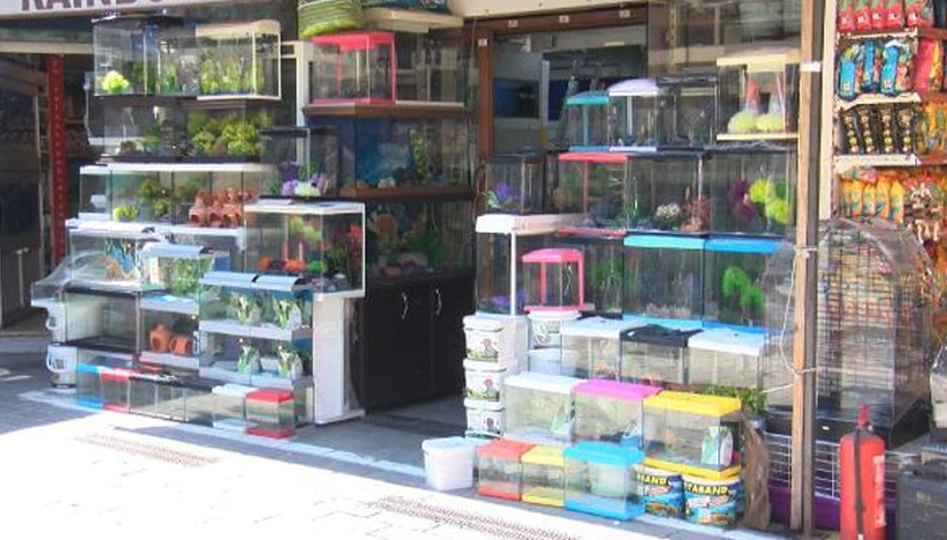 Petshoplar kasaplar odasına bağlandı tartışması: Yanlış anlaşıldı