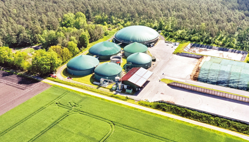 Yeni alternatif ‘enerji’ ormanı