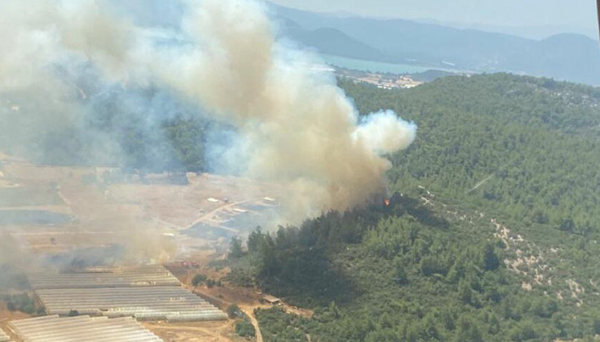 İzmirde serada çıkan yangın ormana da sıçradı