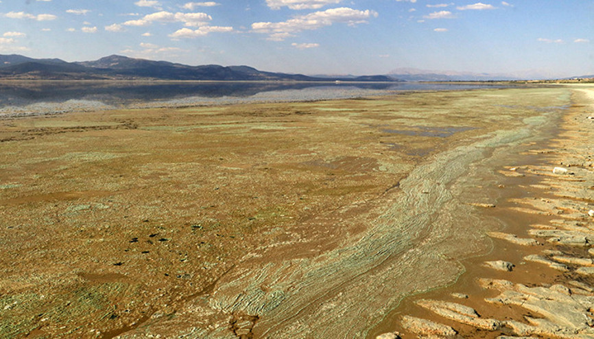 Burdur Gölü için korkutan sözler: Yaralı, yardıma ihtiyacı var Daha uzun devam ederse...