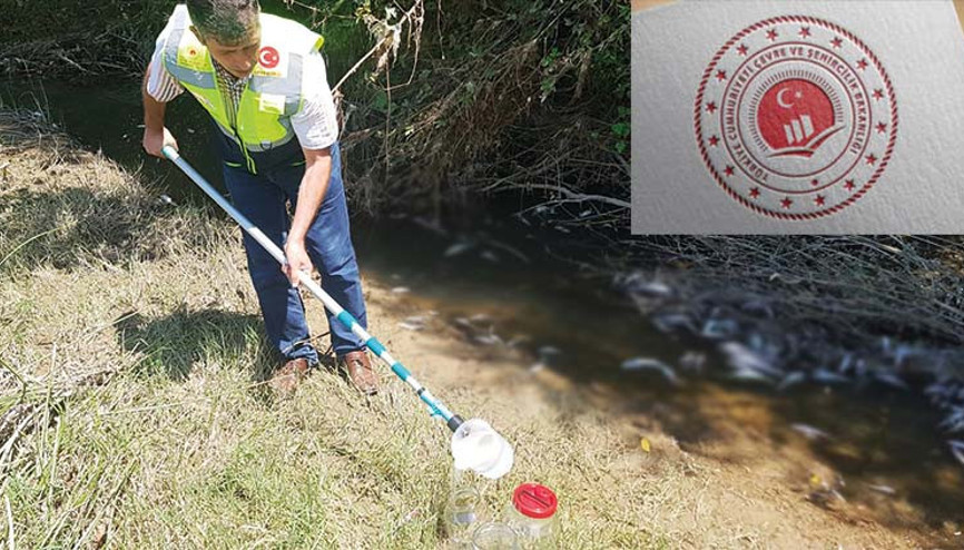 Çevre, Şehircilik ve İklim Değişikliği Bakanlığı’ndan balık ölümlerine ilişkin açıklama