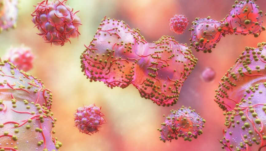 Maymun çiçeği Türkiyede kaç kişide görüldü, nasıl bulaşır Maymun ciceği virüsü tedavisi ve belirtileri