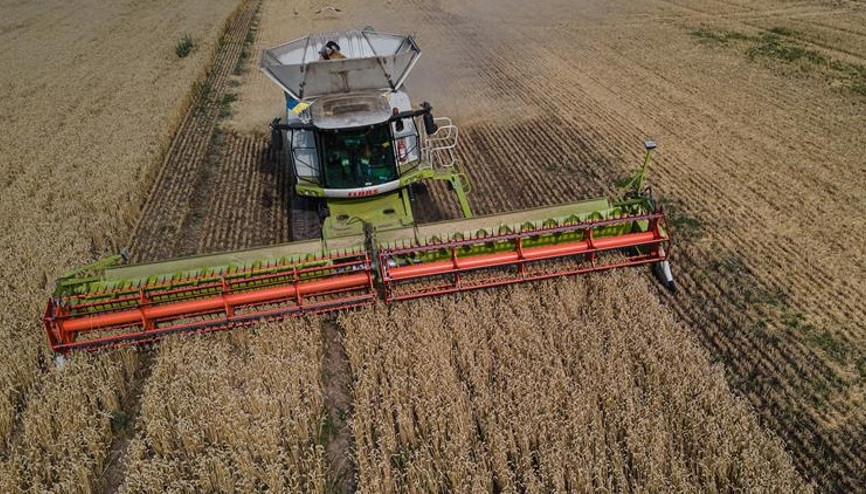BM Gıda ve Tarım Örgütünden iyi haber geldi: Fiyatlar düşüyor