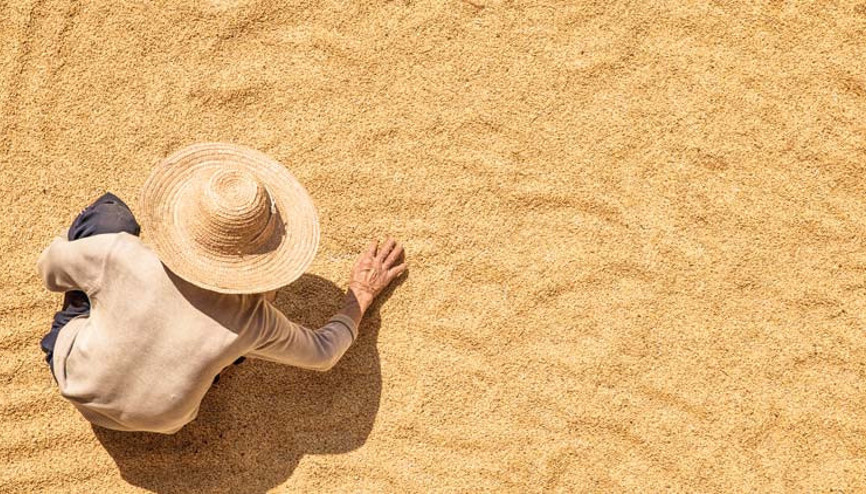 Gıdada düşüş sürüyor Gıdada düşüş sürüyor