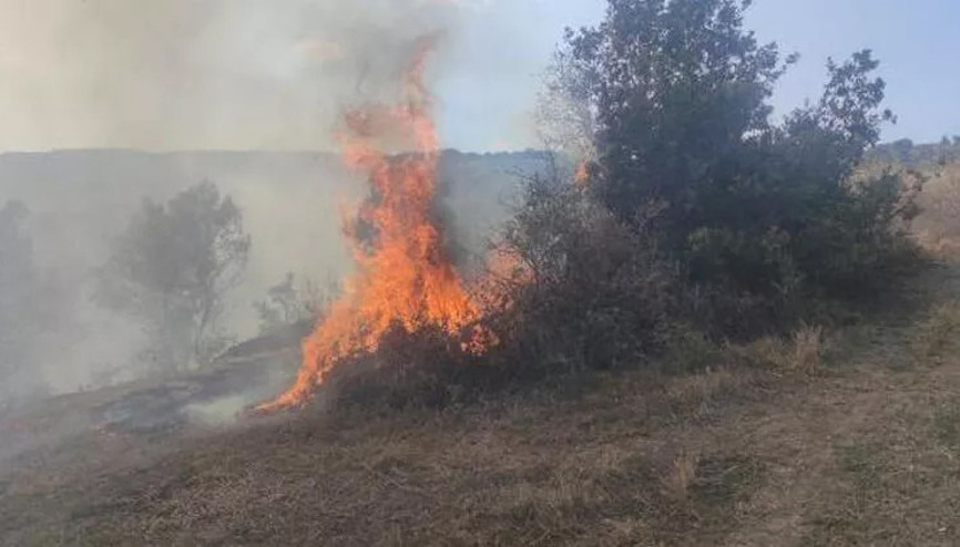 Bursada zeytinlik yangını kontrol altına alındı