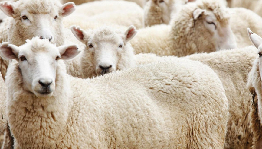 ESK’dan üreticileri destekleyecek hamle