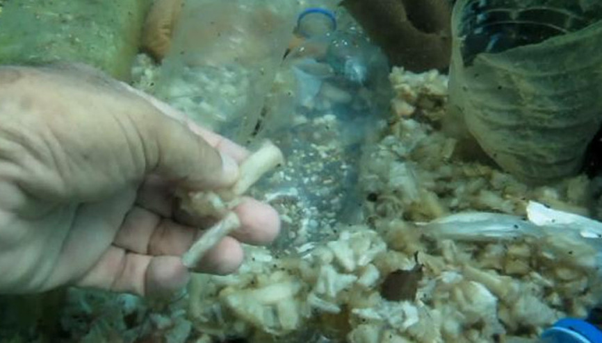 Akdeniz ekosistemine izmarit tehdidi