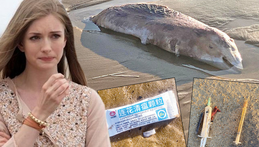 Yasemin Allen çevre faciasına isyan etti