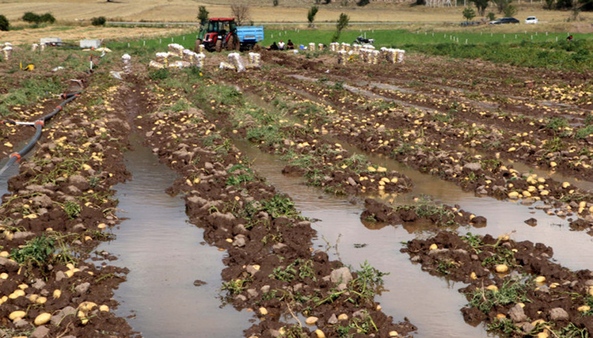 Afyonkarahisarda sağanak: İş yerlerini ve patates tarlalarını su bastı