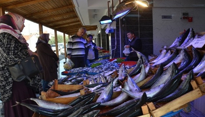 Ağustosta hangi balıklar yenir İşte Ağustos ayında yenmesi gereken balıklar