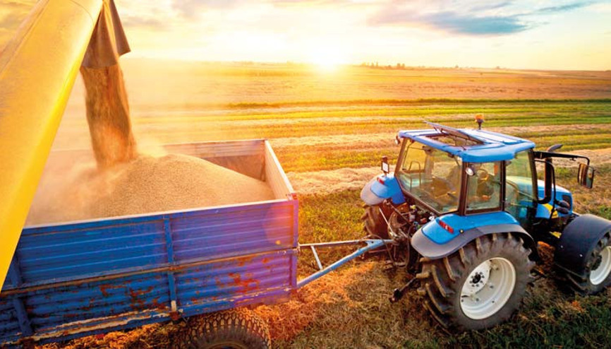 845 milyon dolarlık hububat ihracatı 845 milyon dolarlık hububat ihracatı