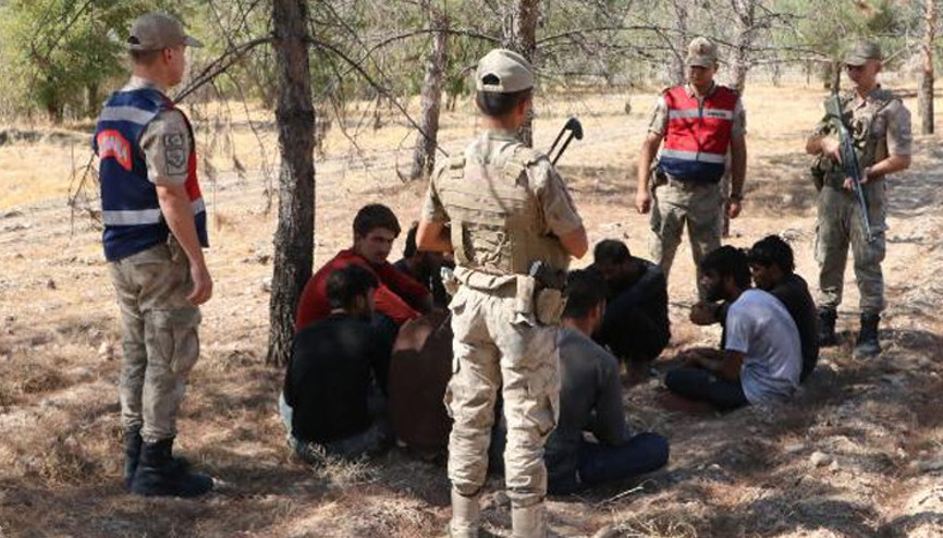 Fıstık bahçesinde saklanıyorlardı: 28 göçmen yakalandı