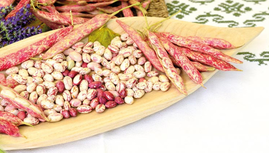 Kestanemsi, kremamsı gerçek bir tat bombacığı... Kestanemsi, kremamsı gerçek bir tat bombacığı...