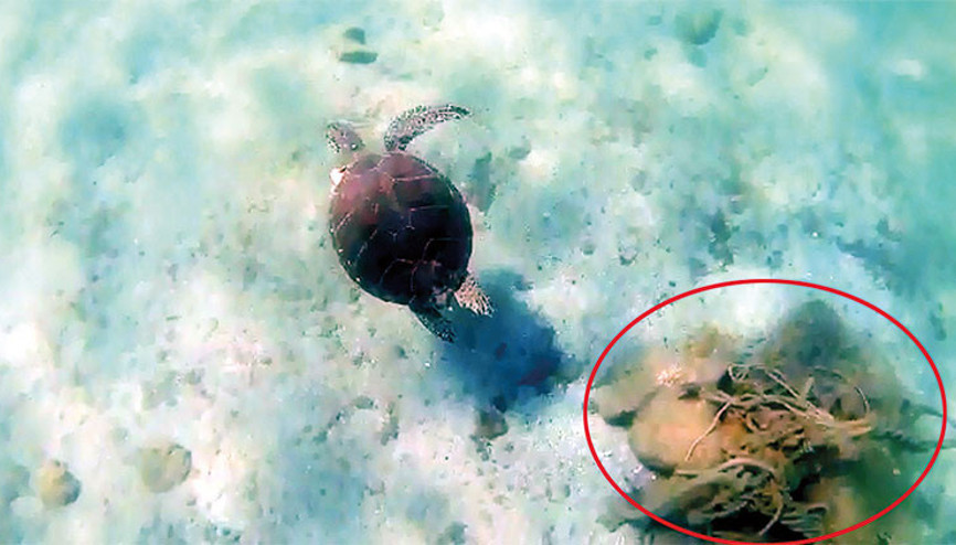 Bravo Hayalet ağ işte buna sebep oluyor