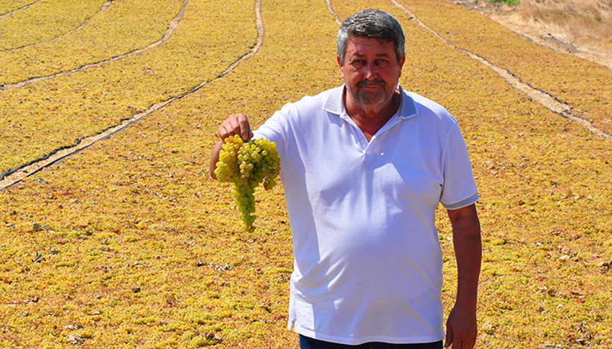 Cumhurbaşkanı Erdoğanın açıkladığı üzüm fiyatı, üreticiyi sevindirdi Cumhurbaşkanı Erdoğanın açıkladığı üzüm fiyatı, üreticiyi sevindirdi