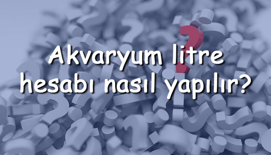 Akvaryum litre hesabı nasıl yapılır Akvaryum litre hesaplama