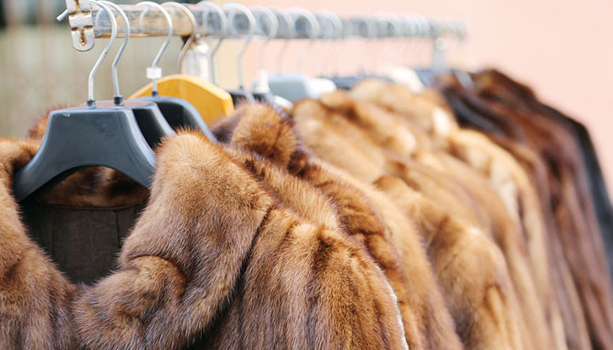 Kürkte ‘Orta Asya’ fırsatı