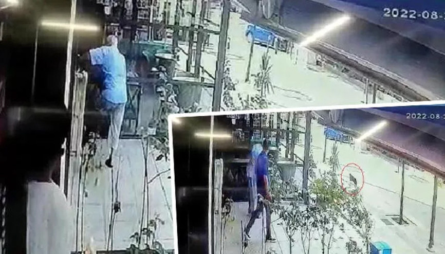 Bağcılarda sokak kedisine terlikle şiddet anları kamerada