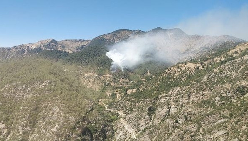 Kahramanmaraşta orman yangını... Kontrol altına alındı