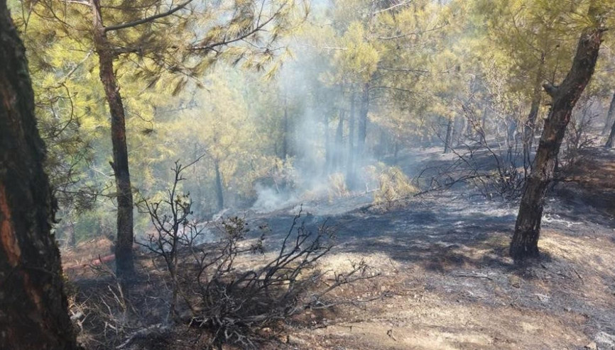 Hatayda orman yangını