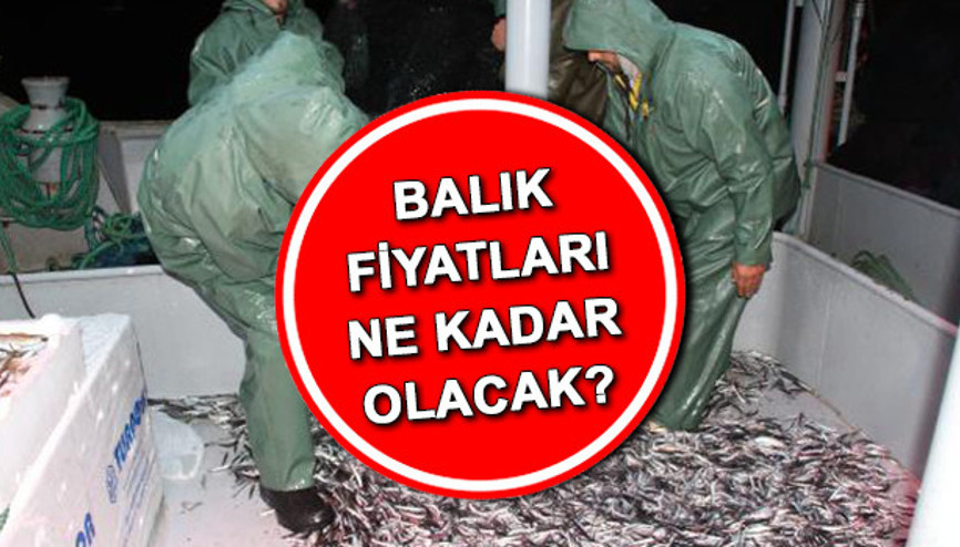 Av yasağı sona ererken balıkçıların hazırlıkları başladı Fiyatlar belli oluyor... Balık yasağı ne zaman kalkacak Av yasağı sona ererken balıkçıların hazırlıkları başladı Fiyatlar belli oluyor... Balık yasağı ne zaman kalkacak