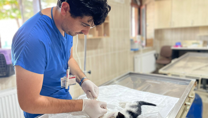 3 bin 109 can dosta tedavi