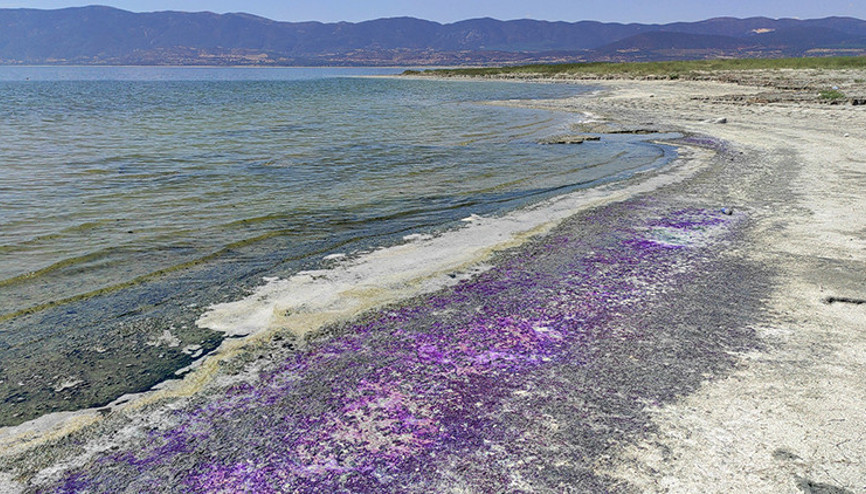 Burdur Gölü sahili bu kez mor renge büründü