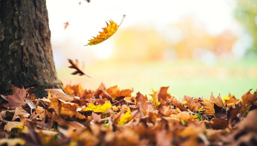 Havalar ne zaman soğuyacak Meteoroloji uyardı İşte 4-10 Eylül 2022 hava durumu tahminleri...