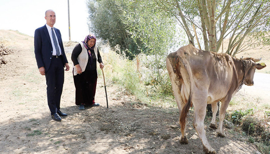 Yeni ineğine kavuştu