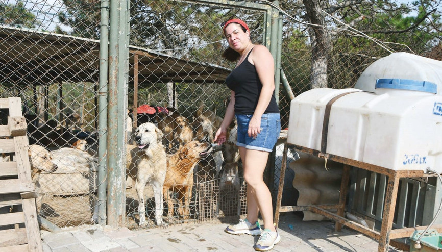 Şimdilik evde kaldılar