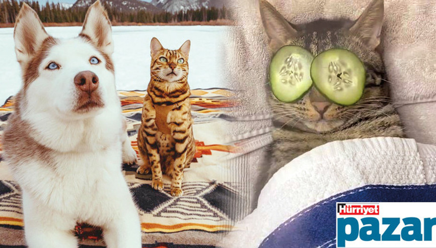 Dünyanın en sevimli sosyal medya fenomenleri