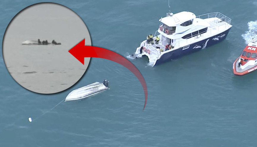 Akılalmaz anlar... Tekneleri balinaya çarptı Okyanusta can pazarı: 5 kişi öldü