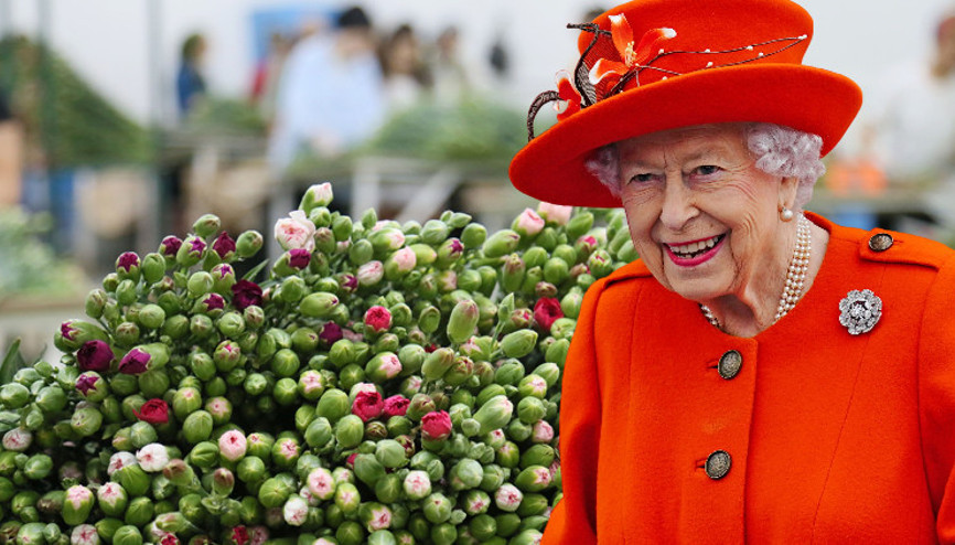 Kraliçe Elizabethin cenazesi için Türkiyeden 1,5 milyon dal karanfil gönderilecek Mesai ve işçi sayısı arttırıldı
