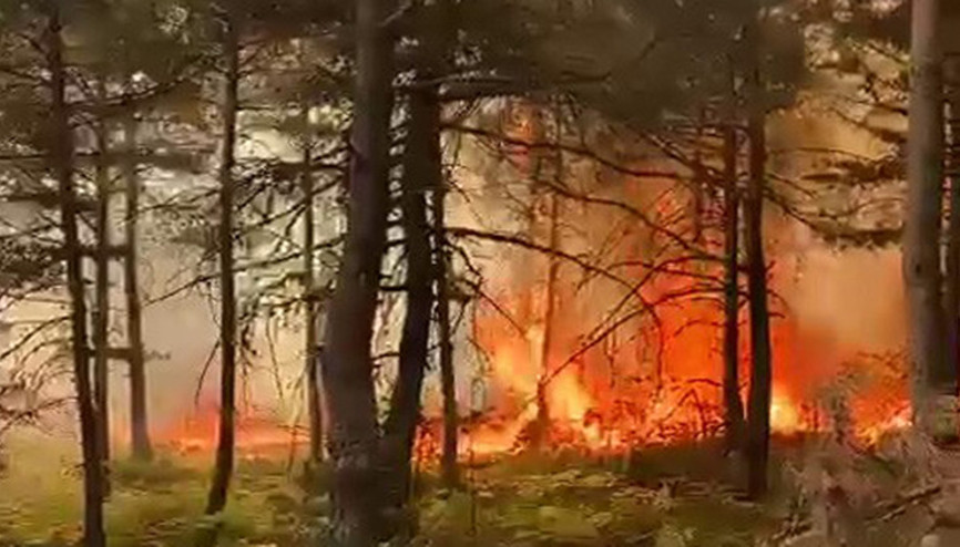 Tokatta orman yangını... 3 hektarlık alan zarar gördü