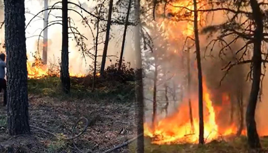 Tokat’ta aynı yerde ikinci kez orman yangını çıktı